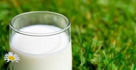 Ученые: молоко восстанавливает мозг