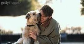 Ученые: эмоциональную связь людей и собак образована гормоном окситоцином