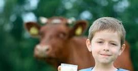 Канадские медики доказали пользу коровьего молока для роста ребенка