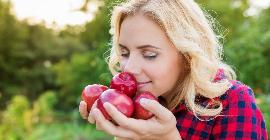 Запах созревающих фруктов может замедлять рост опухолей