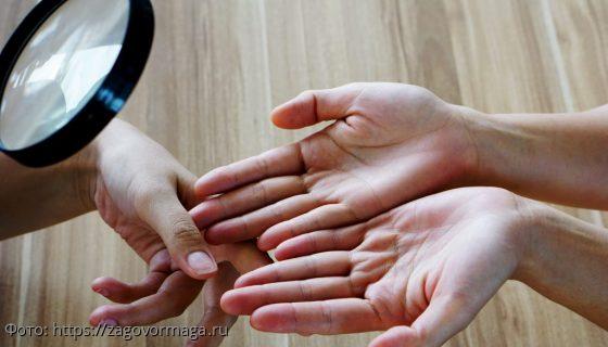 пояс венеры у женщин